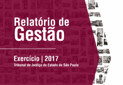 Relatório de Gestão 2017