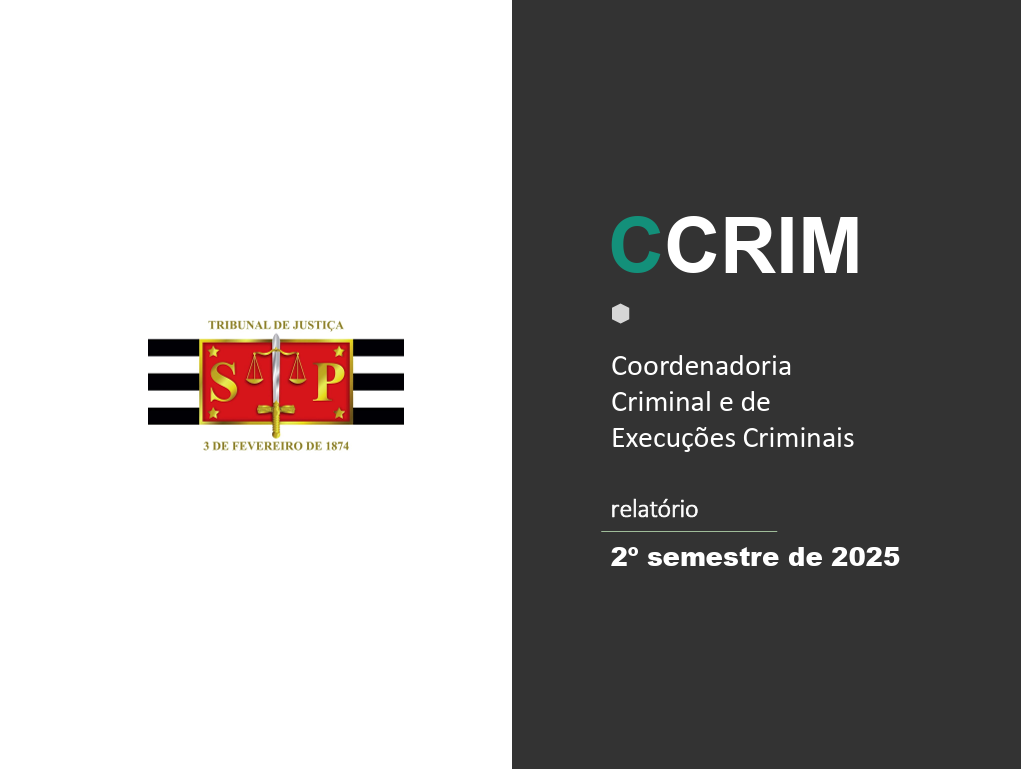 Capa do relatório de atividades 2025
